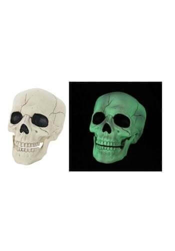 Glow In the Dark Skull - SKU:W80635 - UPC:190842806356 - Party Expo