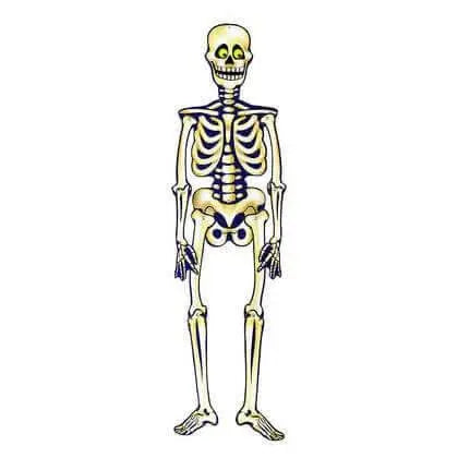 Halloween Jointed Skeleton - Party Expo