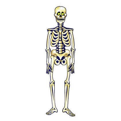Halloween Jointed Skeleton - SKU:88063 - UPC:011179880638 - Party Expo