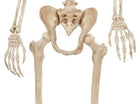 Large Pose N Stay Skeleton 74