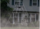 Halloween Giant Spider Web Decoration - SKU:F81138 - UPC:721773811388 - Party Expo