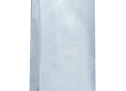 Paper Party Bags -Silver Metallic - SKU:59018 - UPC:011179590186 - Party Expo