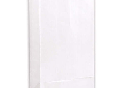 Paper Party Bags -White - SKU:59011W - UPC:011179590117 - Party Expo