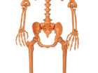 Pumpkin Head Skeleton Orange 60