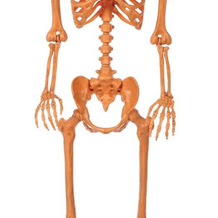 Pumpkin Head Skeleton Orange 60" - SKU:W83175 - UPC:10190842831751 - Party Expo