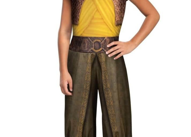 Raya and The Last Dragon Costume (size 4-6x) - SKU:106839L - UPC:192995106833 - Party Expo