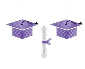 School Colors Pride Graduation Cap & Diploma Honeycomb Hanging Decorations - Purple - SKU:290118.106 - UPC:192937032336 - Party Expo