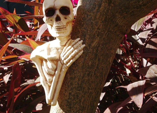 Skull Tree Peeker (1ct) - SKU:W83229 - UPC:190842832294 - Party Expo