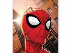 Spiderman - Folded Loot Bag - SKU:371860 - UPC:013051757458 - Party Expo