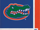 University of Florida Gators Beverage Napkins (20ct) - SKU:659698 - UPC:039938118433 - Party Expo